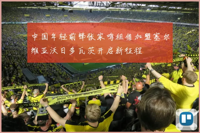 中国年轻前锋张家鸣租借加盟塞尔维亚沃日多瓦茨开启新征程